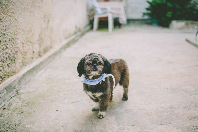 Wedding Photography by lentil, Greece