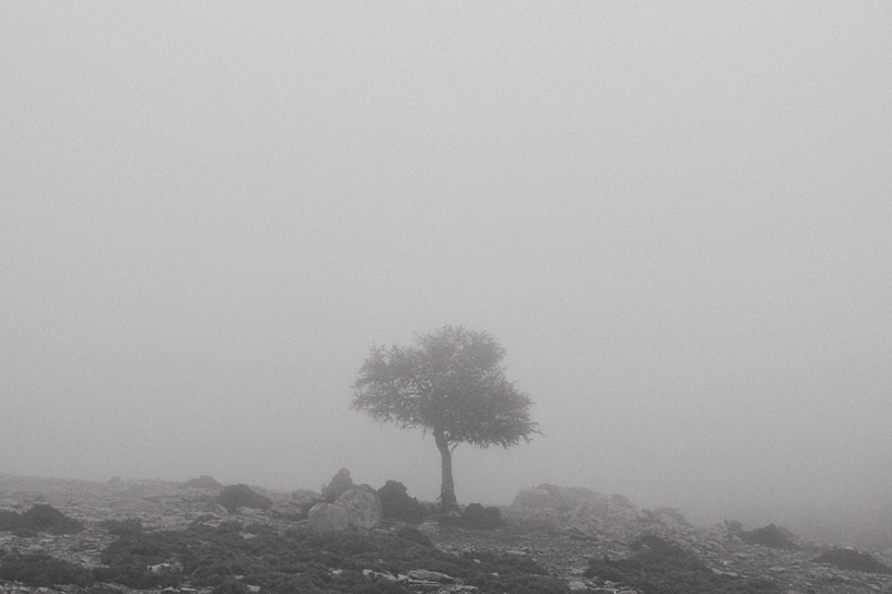 ikaria, Photography by George Tsimpidis lentil, Greece