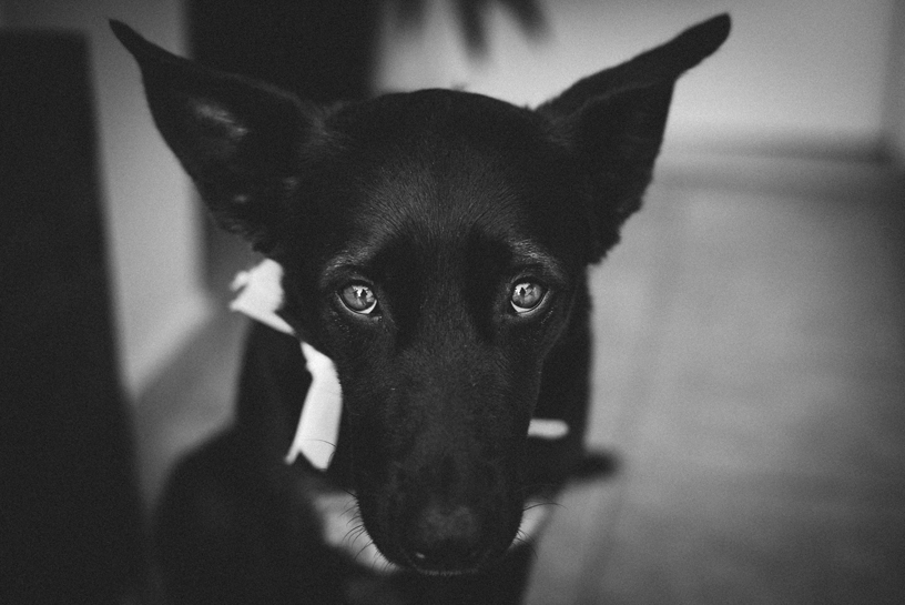 Wedding Photography by lentil, Greece