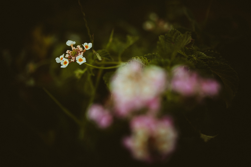 Wedding Photography by lentil, Greece