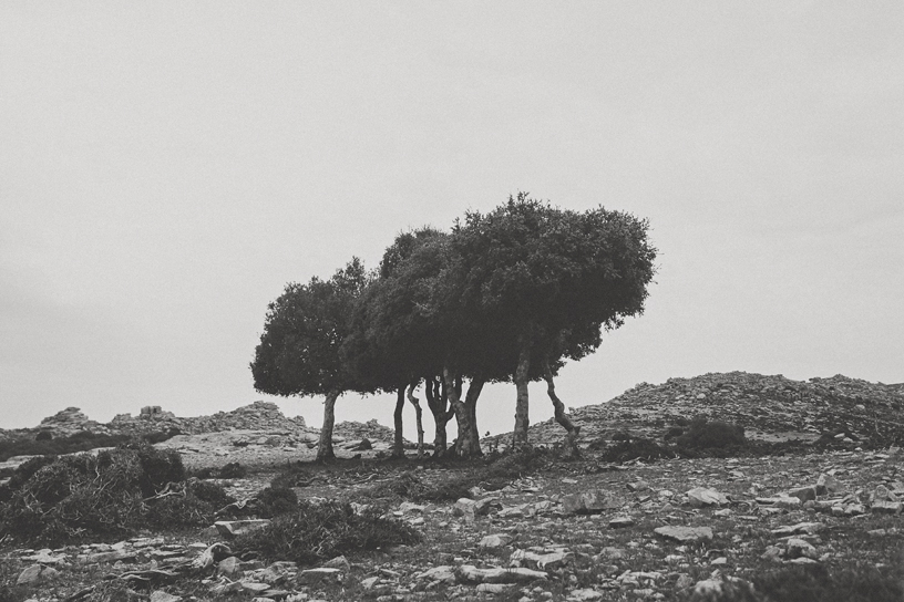 ikaria, Photography by George Tsimpidis lentil, Greece